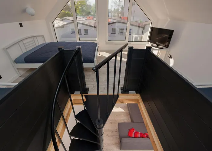 Osc Przy Plazy - Psy Mile Widziane Dziwnówek